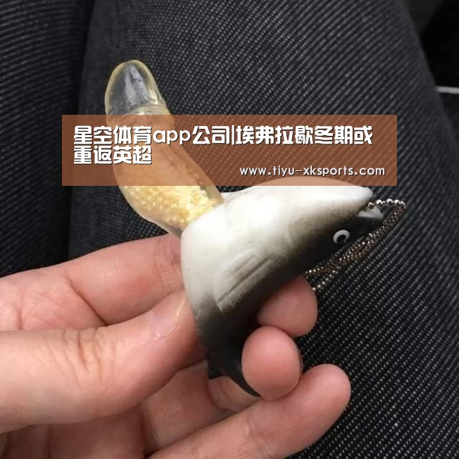 星空体育app部门