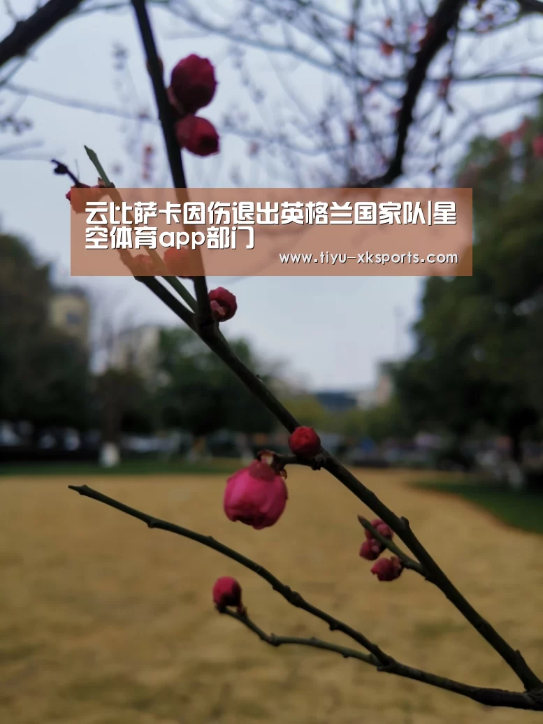 星空体育app团队