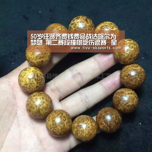 星空体育app公司