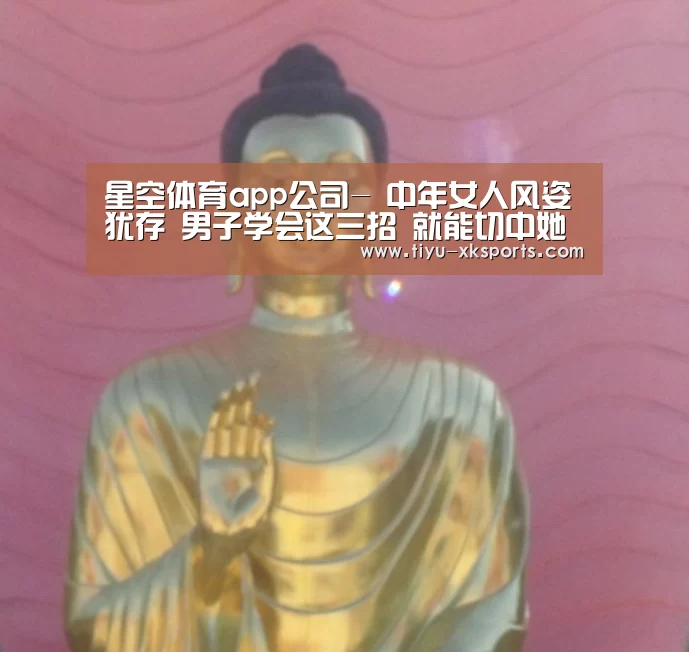 星空体育app团队