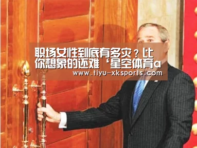 星空体育app团队