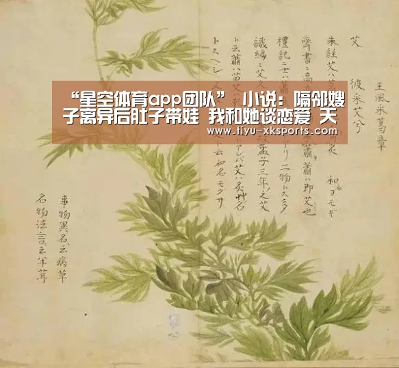 星空体育app团队