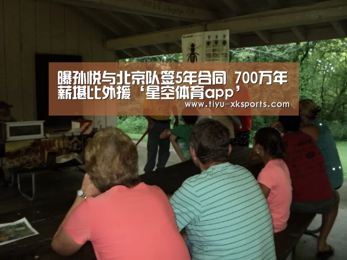 星空体育app部门